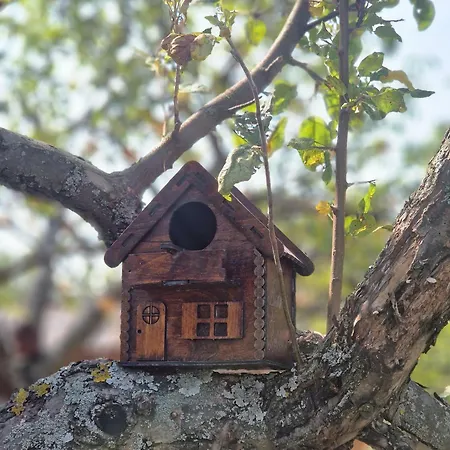 Apartamento Radakovic *