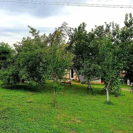 Radakovic